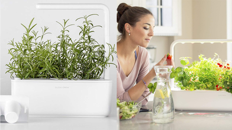 Click & Grow Mini Smart Garden | $90 | HuckberryClick & Grow Smart Garden | $180 | Huckberry